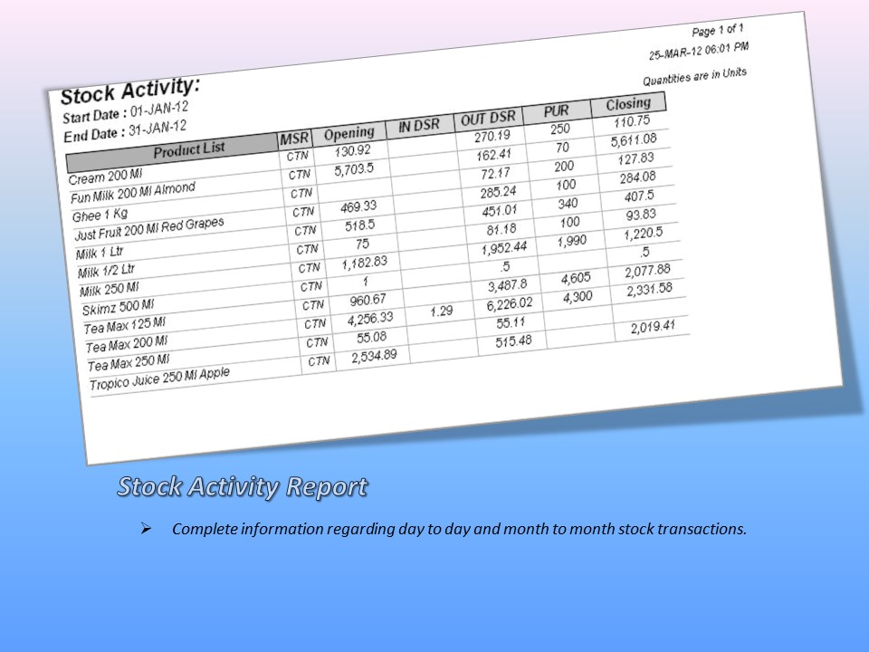 Stock Activity Report